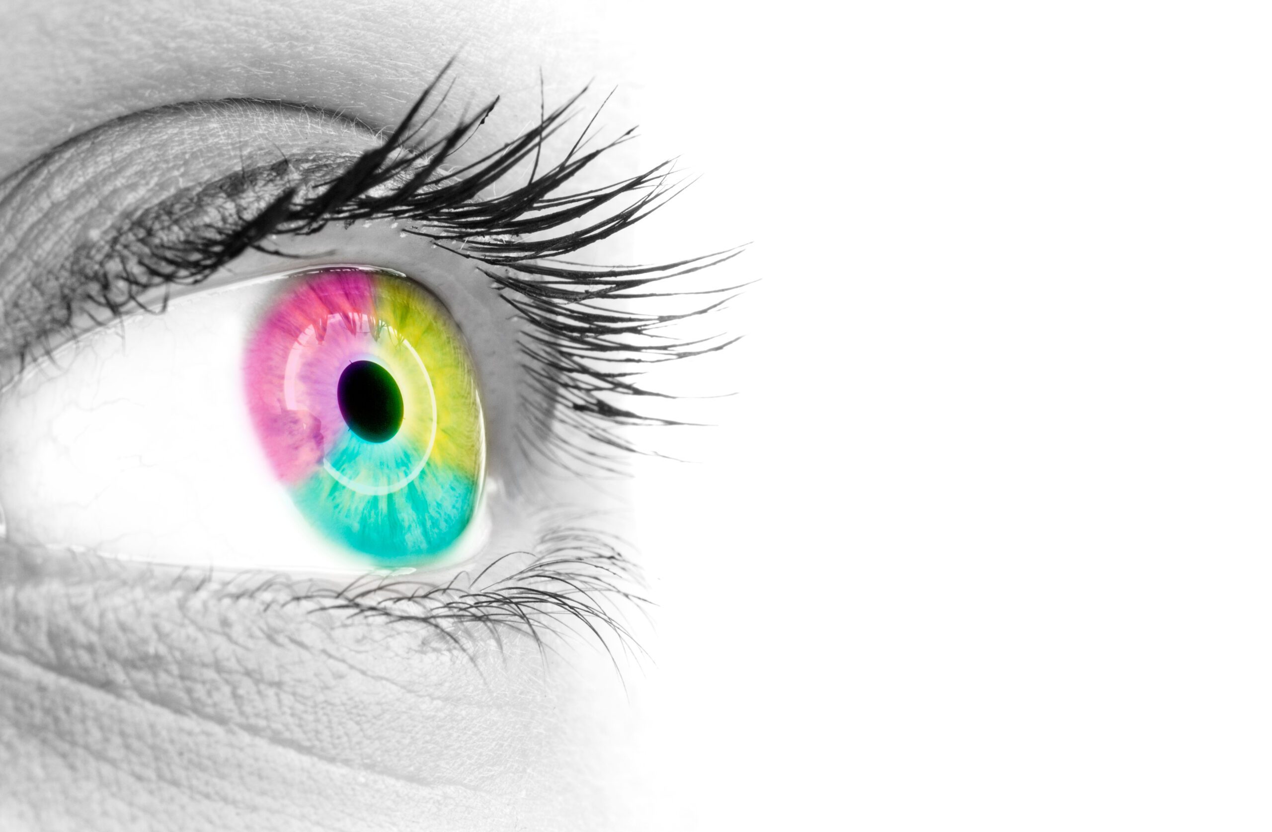 Aide Color Copy Print